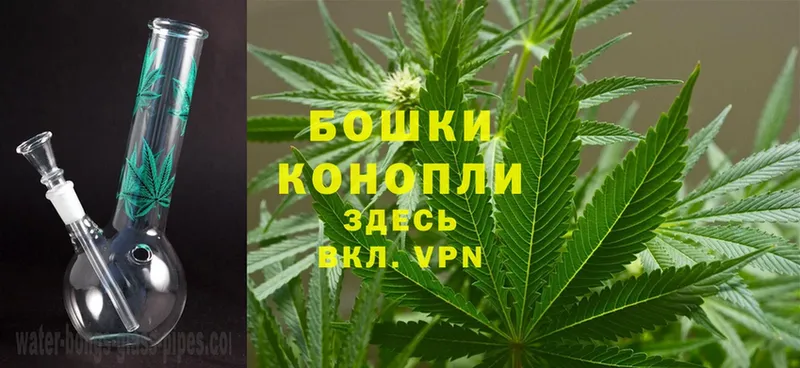 купить закладку  Вятские Поляны  Шишки марихуана Amnesia 